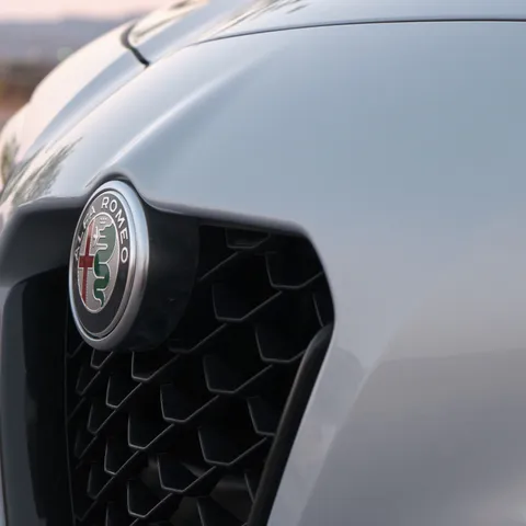 The scudetto grille, close